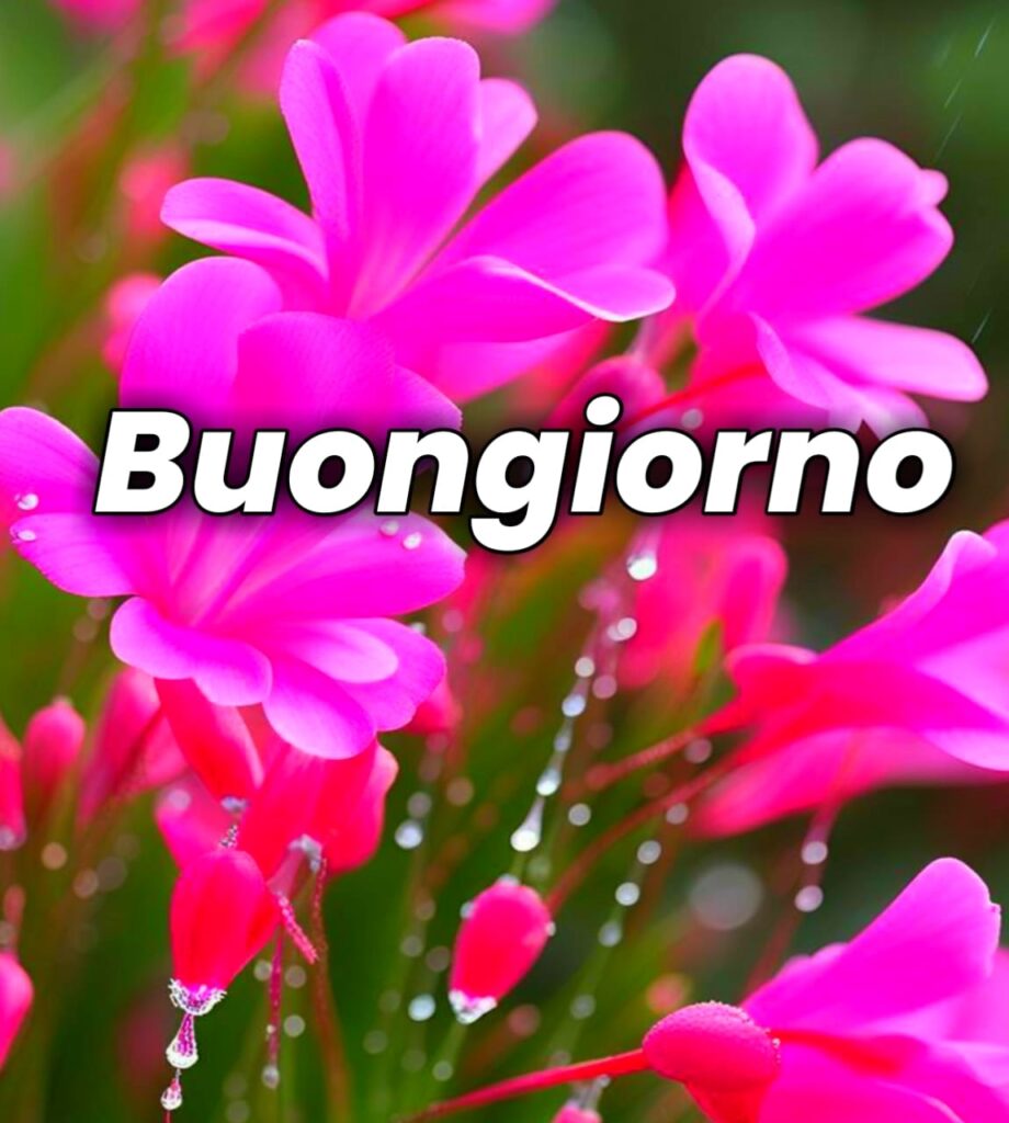 100 Immagini Buongiorno Gif Nuove