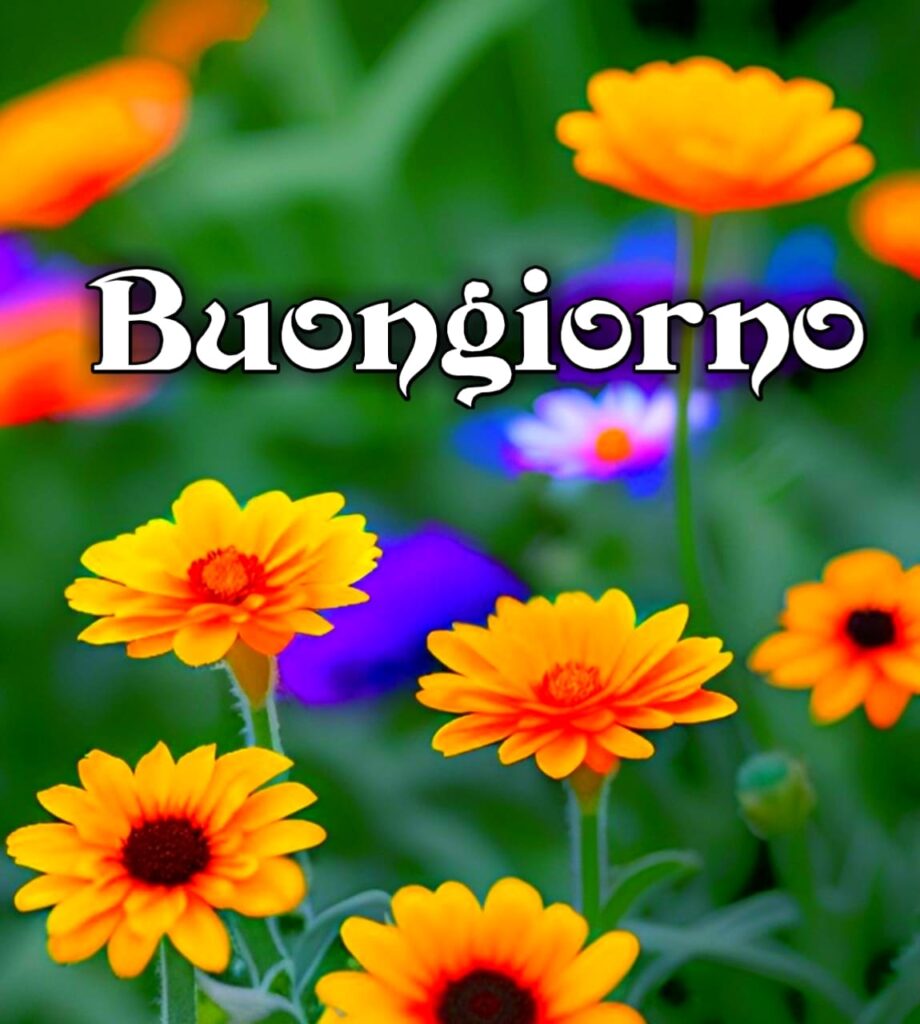 100 Immagini Buongiorno Gif Nuove Gratis Per Whatsapp