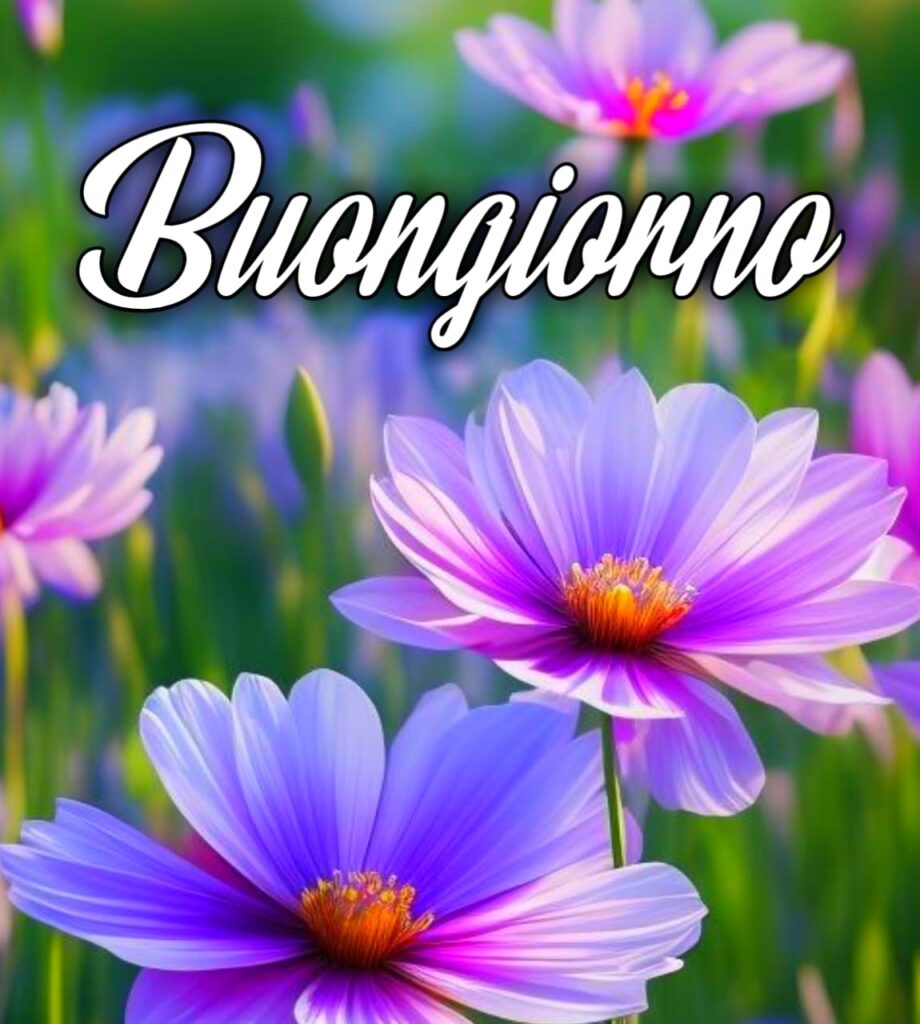 Immagini Buongiorno