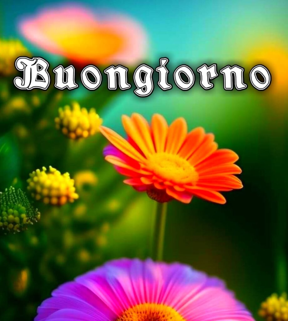 Immagini Buongiorno Gratis Per Whatsapp