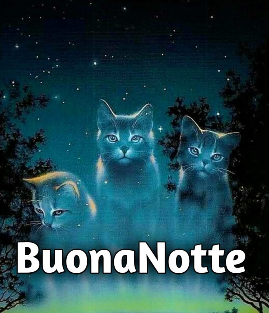 Buona Notte Con Gatti