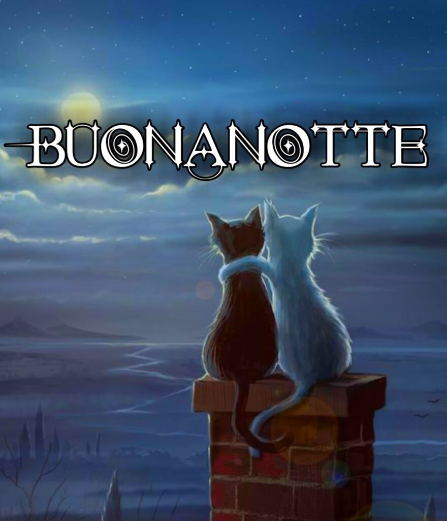 Buona Notte Con I Gatti
