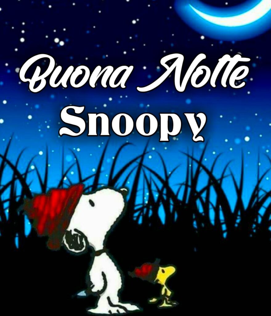 Buonanotte A Domani Snoopy