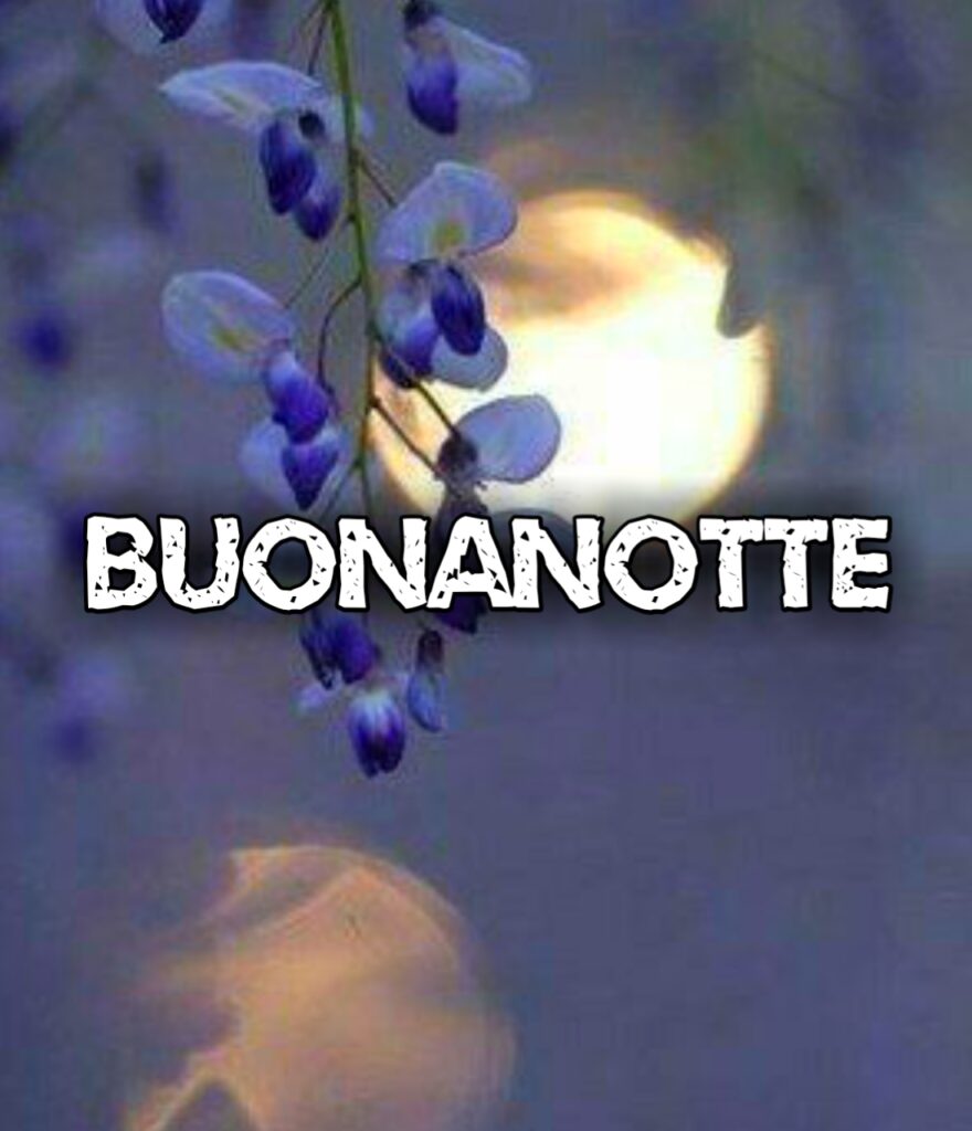 Buonanotte Con Affetto Immagini Belle Whatsapp