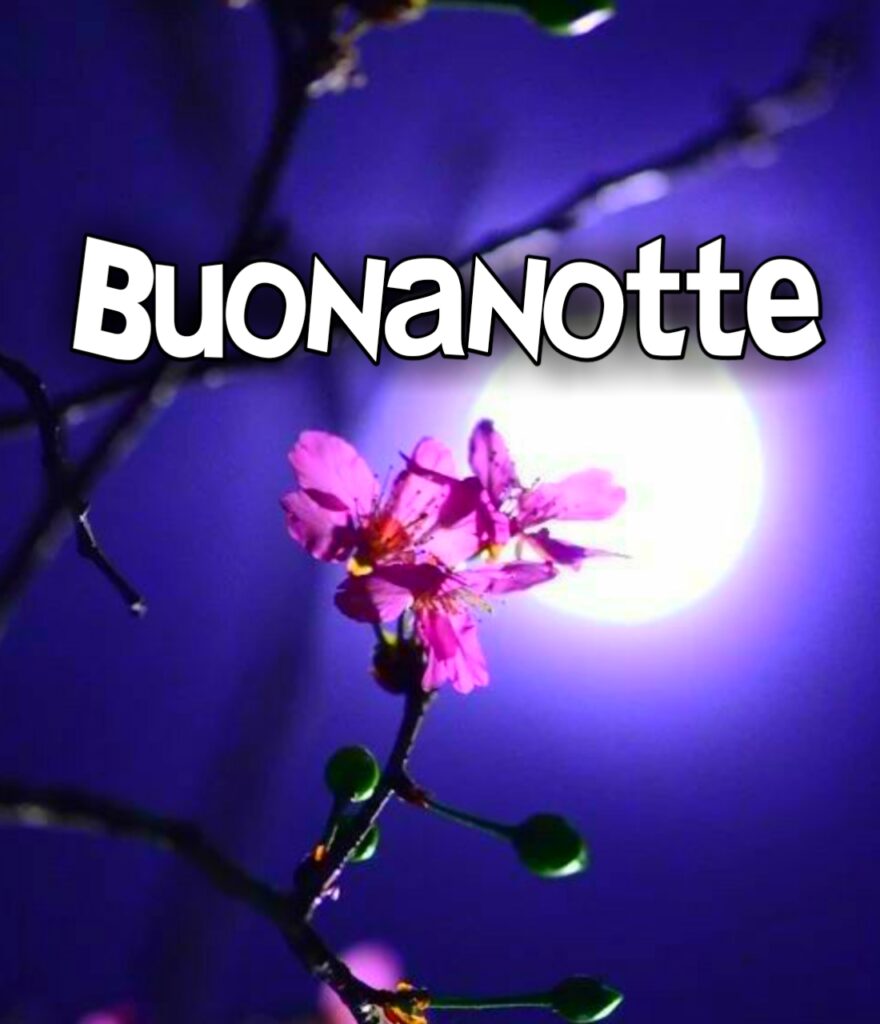 Buonanotte Gif Glitter Gratis