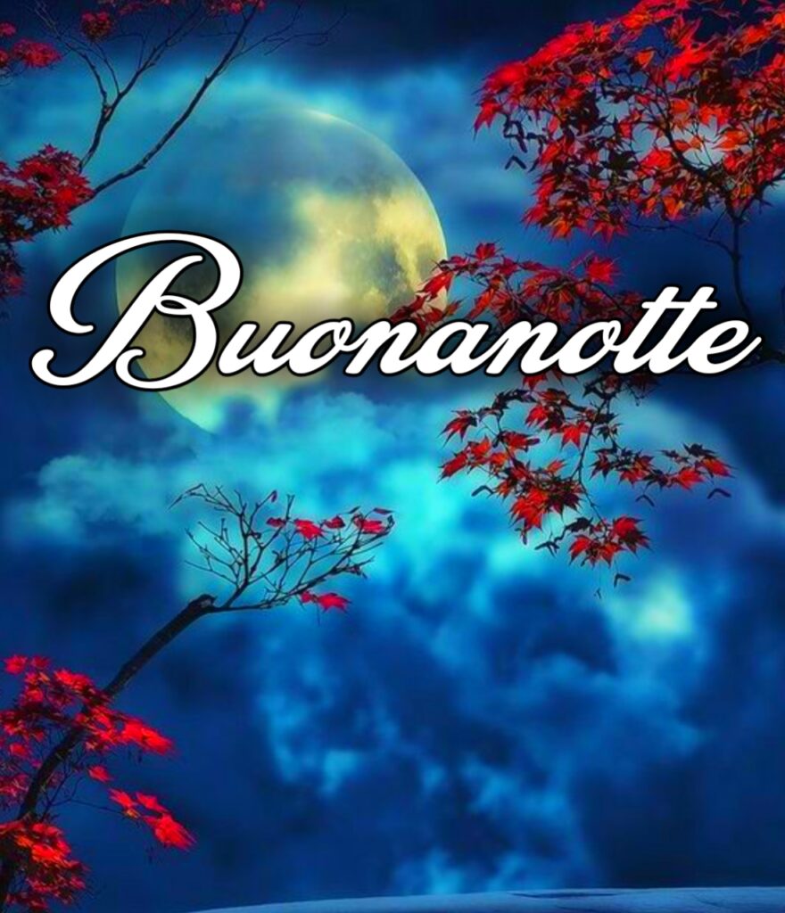 Buonanotte Gif Nuove