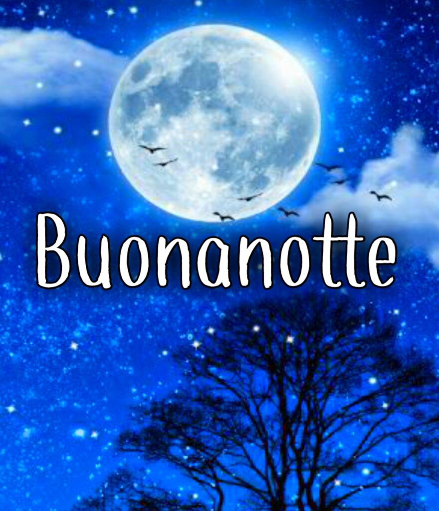 Buonanotte Immagini Nuove 2024 Gratis Per Whatsapp Gratis Italiano