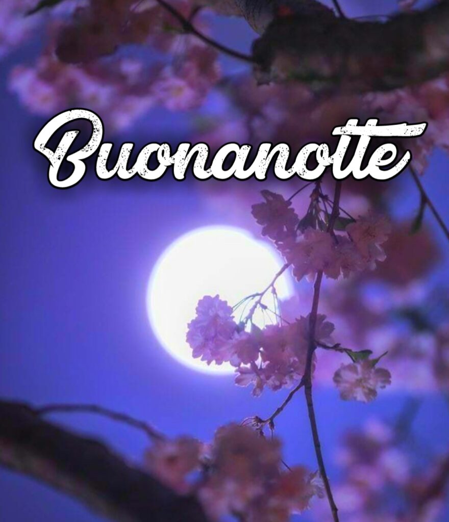 Buonanotte Originalissima