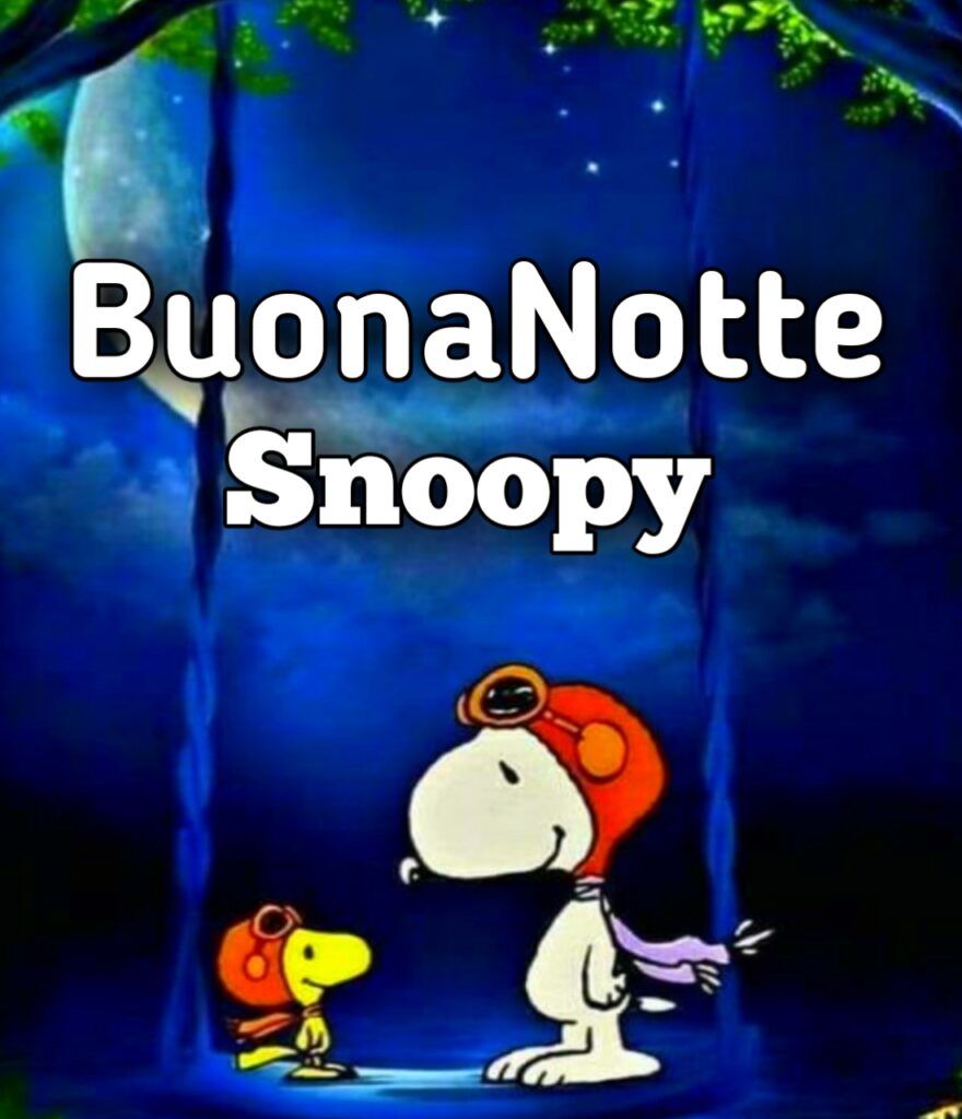 Buonanotte Snoopy