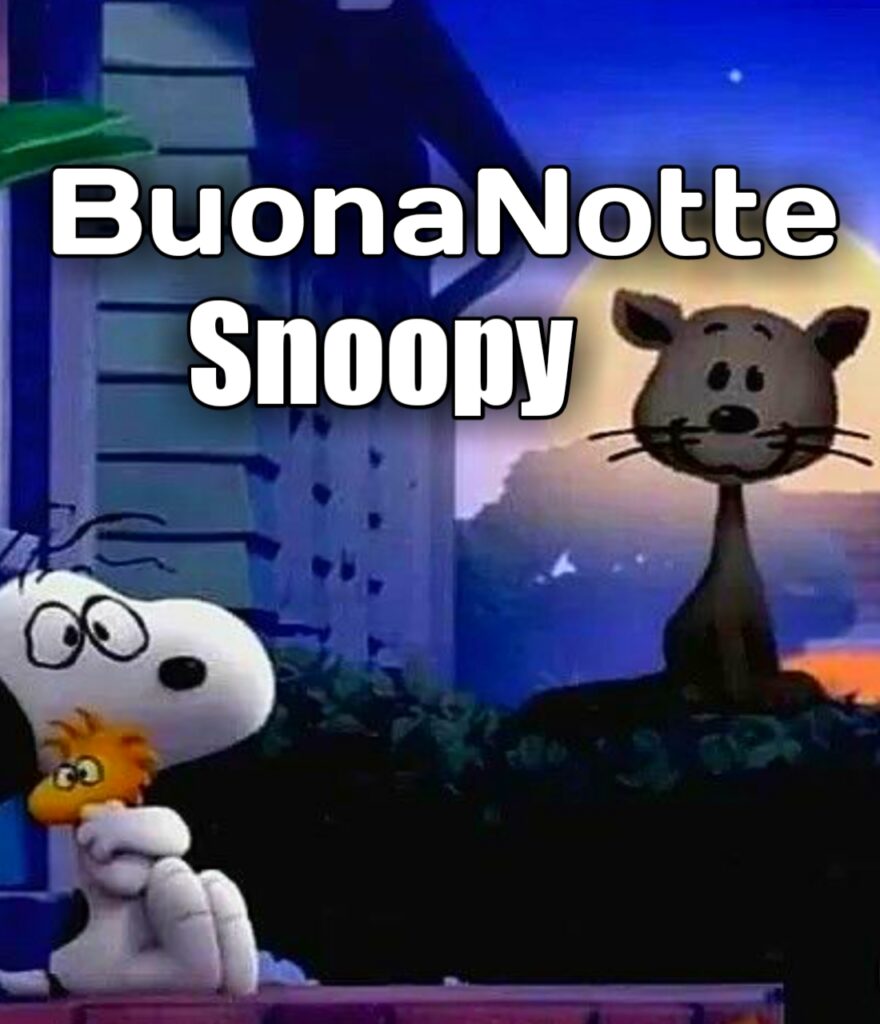 Buonanotte Snoopy Divertenti