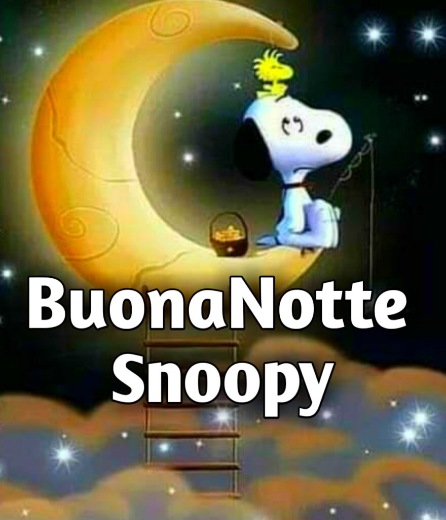 Buonanotte Snoopy E Lucy