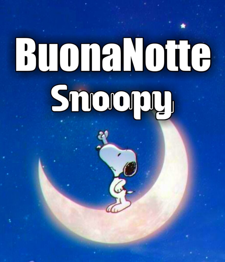 Buonanotte Snoopy E Woodstock