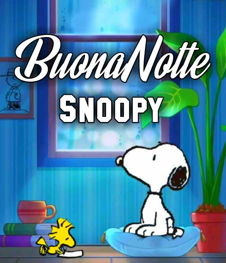 Buonanotte Snoopy Nuove