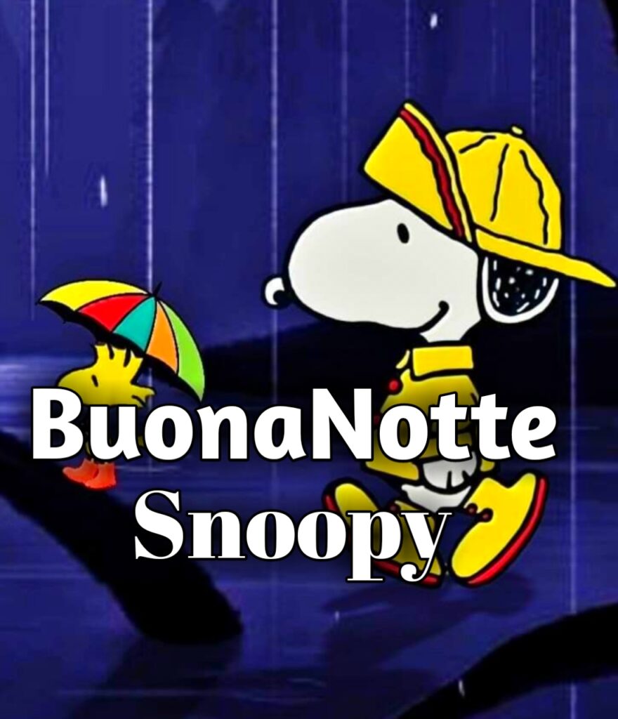 Buonanotte Snoopy Stanco