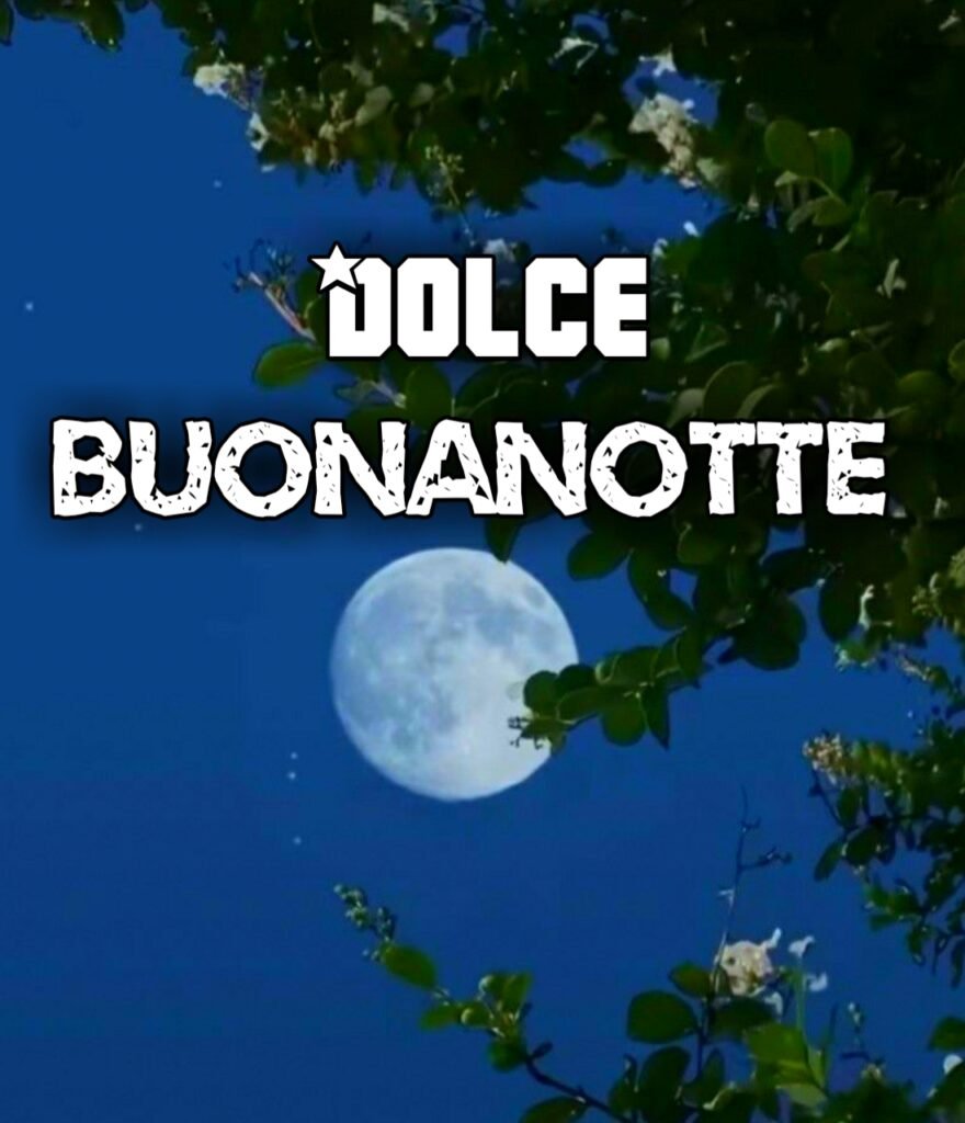 Dolce Notte Gif