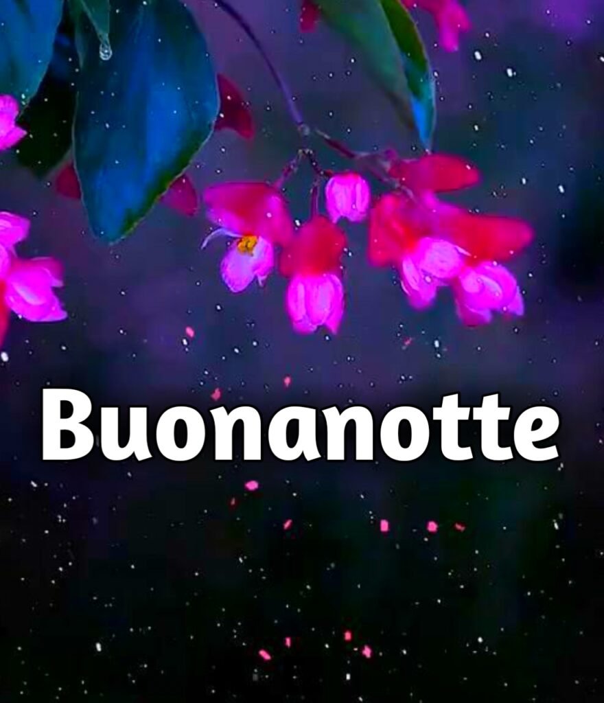Dolce Notte Immagini Bellissime