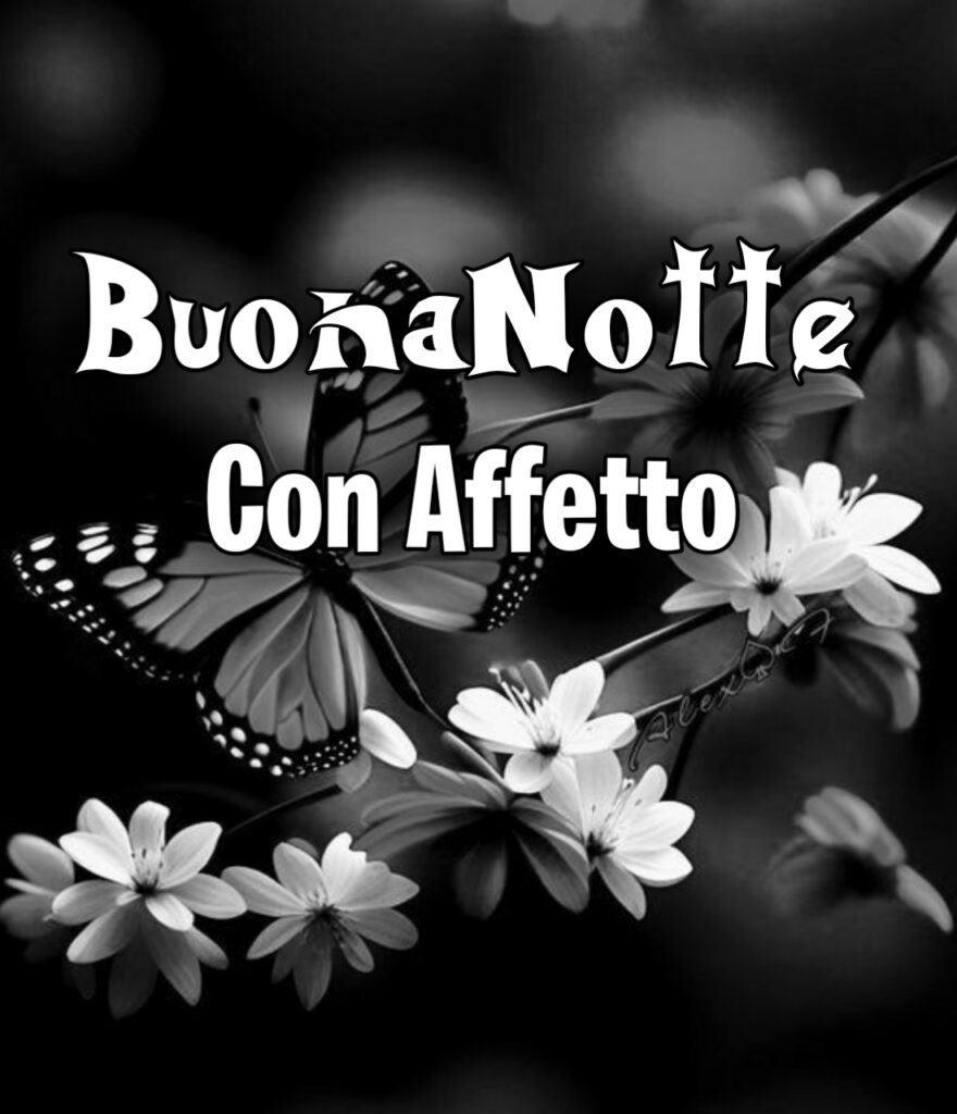 Immagini Buona Notte Con Affetto