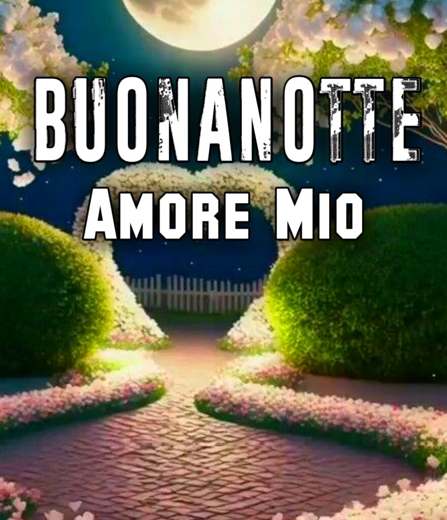 Immagini Buonanotte Amore Mio