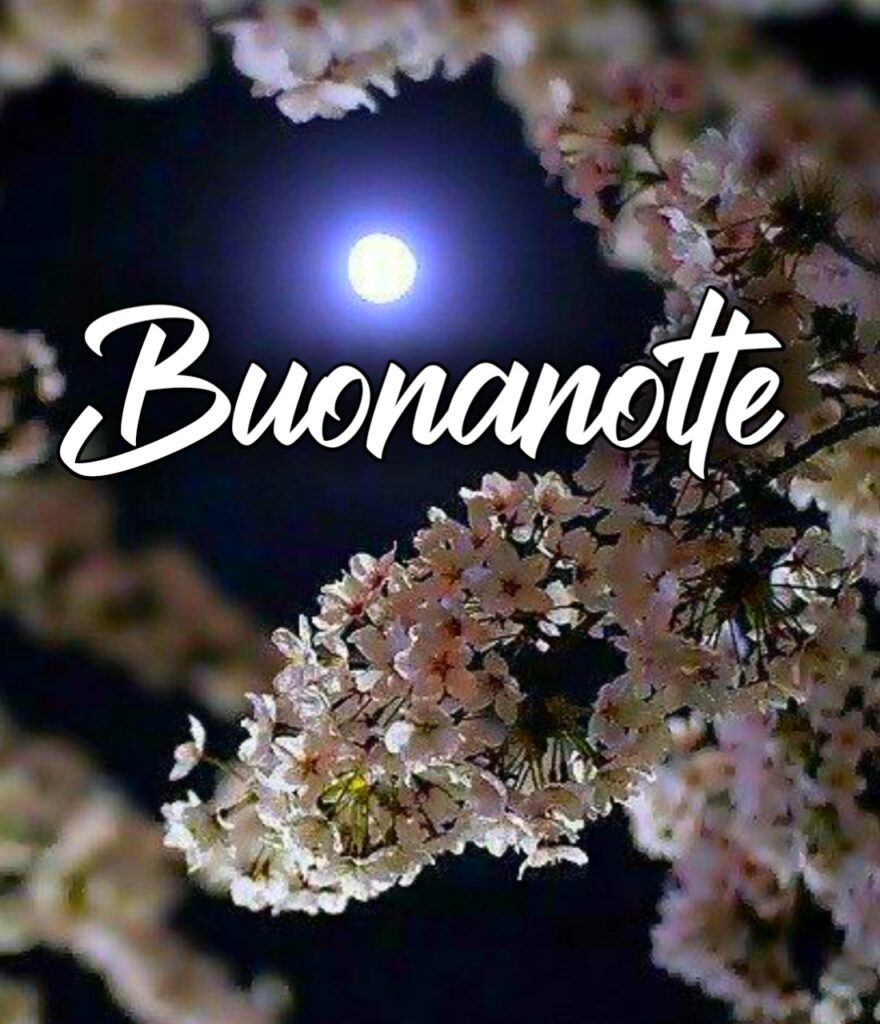 Immagini Buonanotte Gif