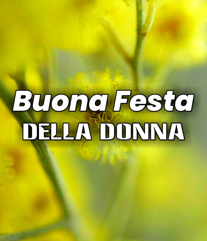Mimosa Festa Della Donna