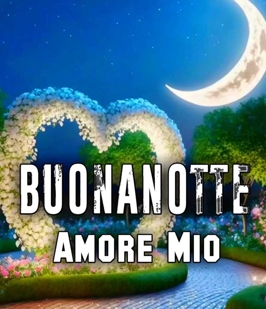 Notte Amore Mio