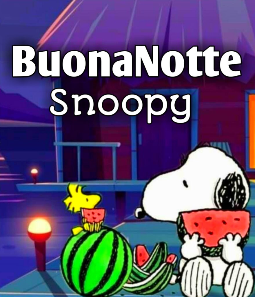 Pinterest Buonanotte Snoopy