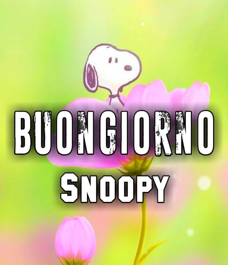 Snoopy Buongiorno